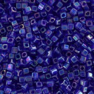 Miyuki square - cubes 1.8mm - Transparent cobalt ab SB18-177